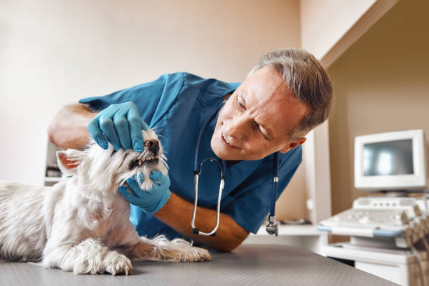 Best Emergency Broken Tooth Repair in Crystal, MN